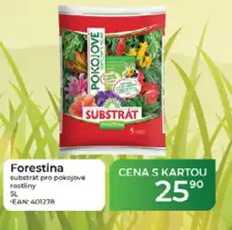 Tamda Foods Forestina substrát pro pokojové rostliny nabídka
