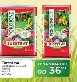 Tamda Foods Forestina substrát pro pokojové nabídka