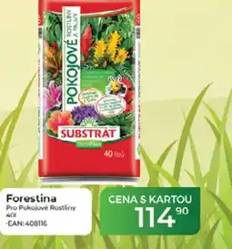 Tamda Foods Forestina Pro Pokojové rostliny nabídka