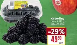 Billa Ostružiny nabídka