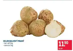 Makro Celer bulvový praný nabídka