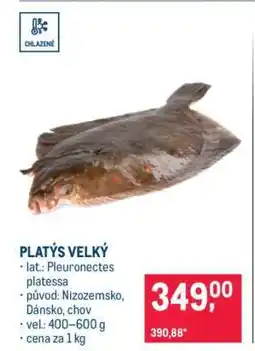 Makro PLATÝS VELKÝ nabídka