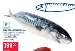 Makro Makrela nekuchaná nabídka