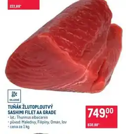 Makro Tuňák žlutoploutvý Sashimi filet AA grade nabídka