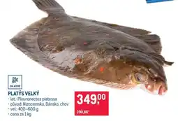 Makro PLATÝS VELKÝ nabídka