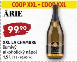 Terno XXL LA CHAMBRE nabídka