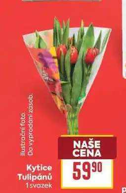 Billa Kytice Tulipánů 1 svazek nabídka