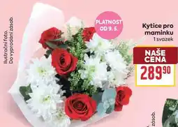 Billa Kytice pro maminku 1 svazek nabídka