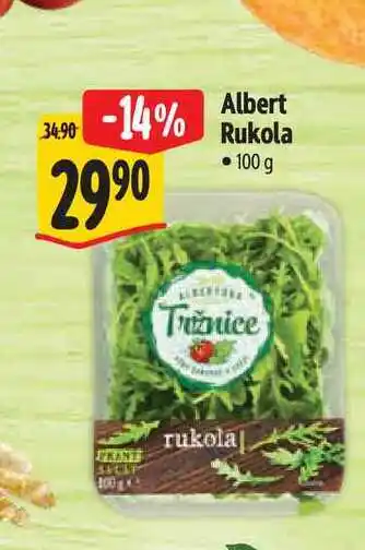 Albert Albert Rukola nabídka