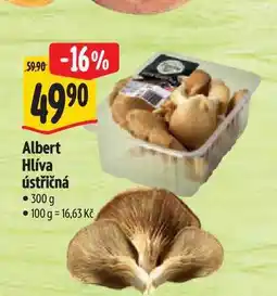 Albert Albert Hlíva ústřičná nabídka