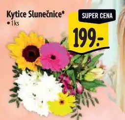 Albert Kytice Slunečnice 1 ks nabídka