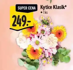 Albert Kytice Klasik 1 ks nabídka