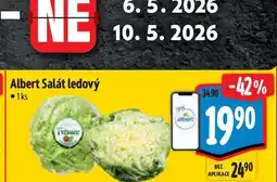 Albert Albert Salát ledový 1ks nabídka