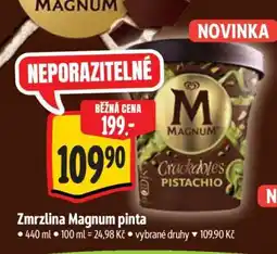 Albert Zmrzlina Magnum Pinta nabídka