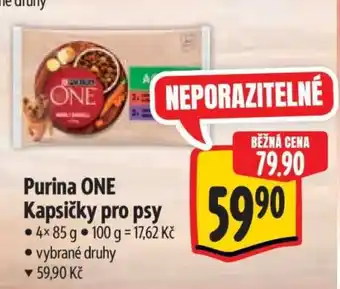 Albert Purina One Kapsičky pro psy nabídka