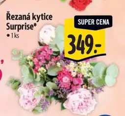 Albert Řezaná kytice Surprise nabídka