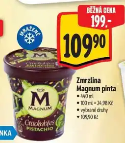 Albert Zmrzlina Magnum Pinta nabídka