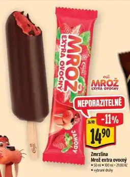 Albert Zmrzlina Mrož extra ovocný nabídka