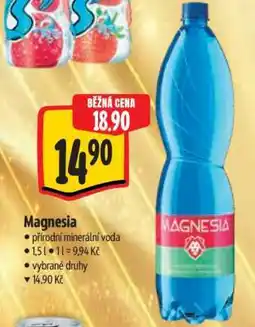 Albert Magnesia nabídka