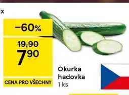 Tesco Okurka hadovka nabídka
