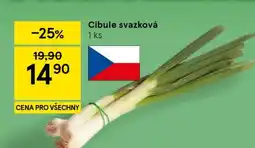 Tesco Cibule svazková nabídka