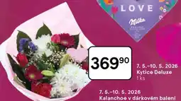 Tesco Kytice Deluxe nabídka