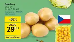 Tesco Brambory nabídka