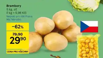 Brambory