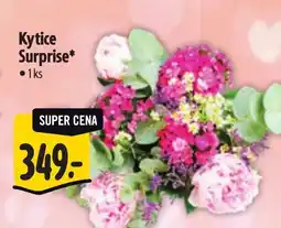 Albert Kytice Surprise nabídka