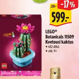 Albert LEGO® Botanicals 11509 Kvetoucí kaktus nabídka