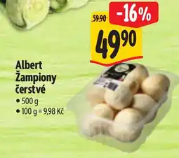 Albert Albert Zampiony čerstvé nabídka