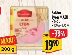Albert Salám Lyon MAXI nabídka