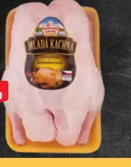 Albert Vodňanská kachna nabídka