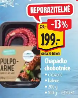 Albert Chapadlo chobotnice nabídka