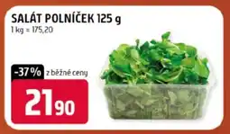 Terno Salát Polníček 125 g nabídka