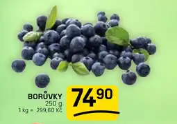 Flop Borůvky nabídka