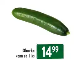 Qanto Okurka nabídka