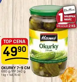 Flop Okurky 7-9 cm nabídka