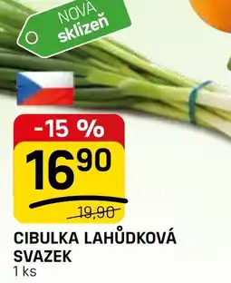 Flop Cibulka lahůdková svazek nabídka