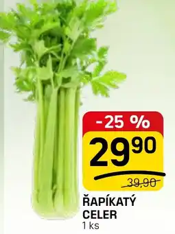 Flop Řapíkatý celer nabídka