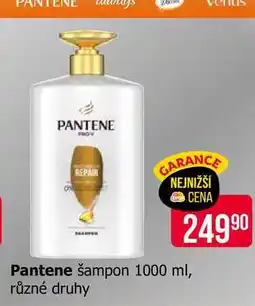 Teta Pantene šampon 1000 ml, různé druhy nabídka