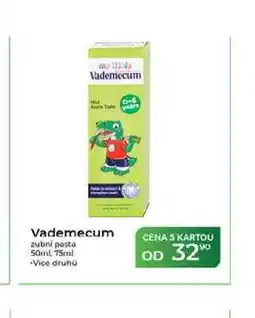Tamda Foods Vademecum zubní pasta 50ml. 75ml nabídka