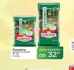 Tamda Foods Forestina zahradnicky substrat 10 1-20 1 nabídka