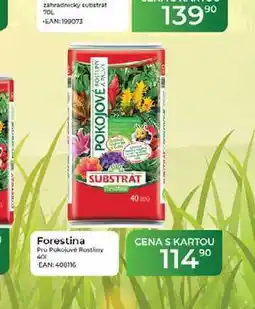 Tamda Foods Forestina Pro Pokojové rostliny 401 nabídka