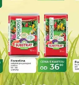 Tamda Foods Forestina substrát pro pokojové rostliny 101-201 nabídka