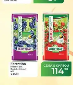 Tamda Foods Forestina substrát pro Borůvky, Jahody 40 1 nabídka