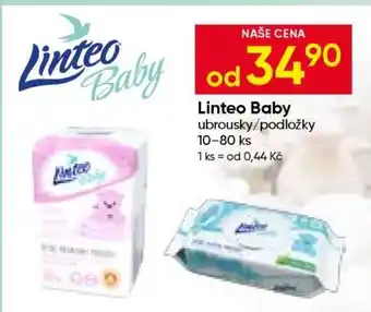 Hruška Linteo Baby nabídka