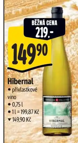 Albert Hibernal nabídka