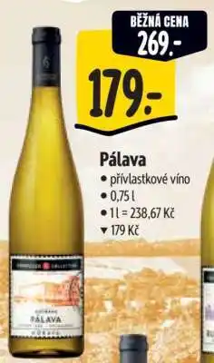 Albert Pálava nabídka