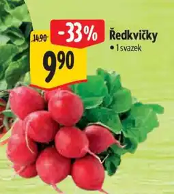 Albert Ředkvičky nabídka